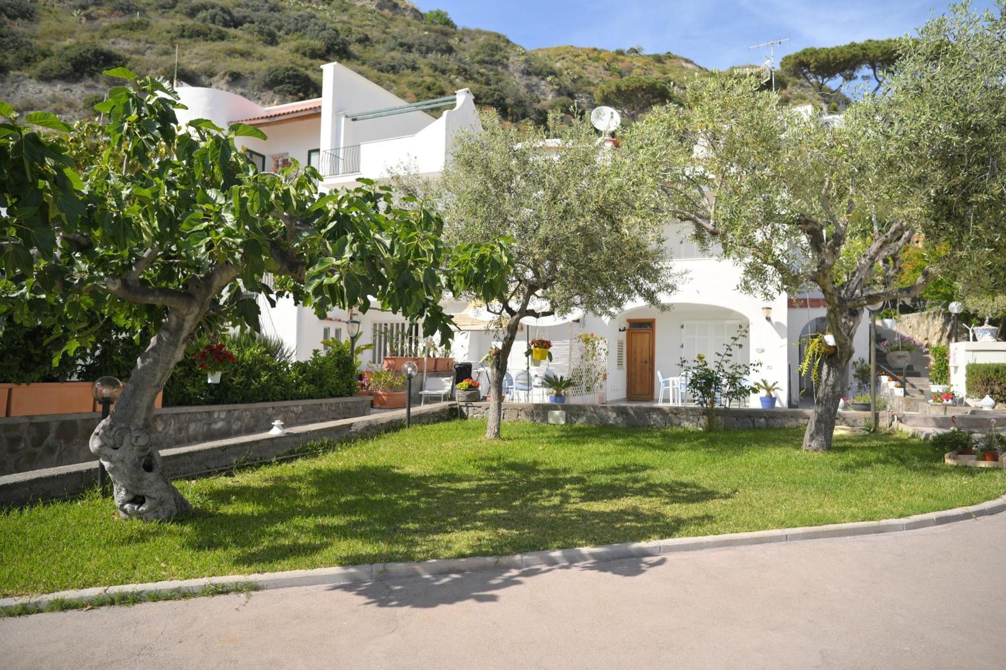 Blu Maronti Διαμέρισμα Barano dʼIschia Εξωτερικό φωτογραφία
